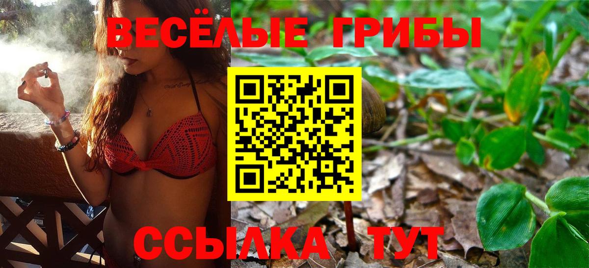 цены   Вход с VPN  Югорск  Галлюциногенные грибы Psilocybine cubensis 